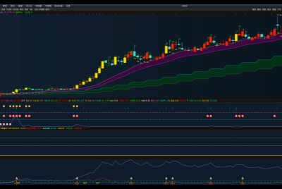 让人印象深刻的极大SQDPV股系列之八