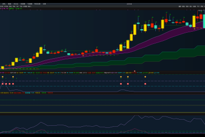 让人印象深刻的极大SQDPV股系列之七