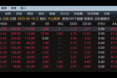 市场大资金共识交易时段的盛况2